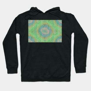 Green, Blue And Other Spring Colors Hoodie